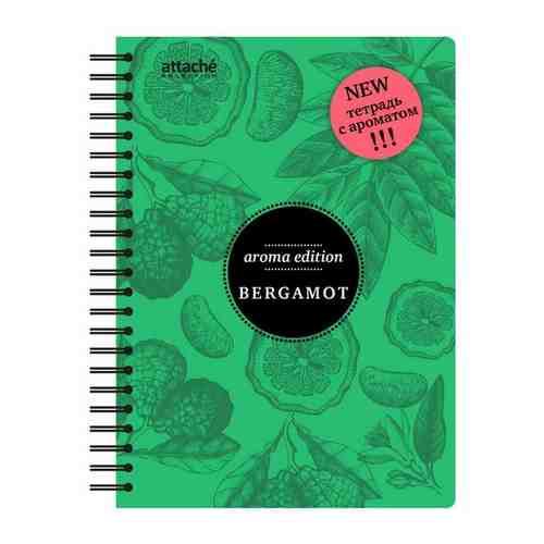 Бизнес-тетрадь ароматизированная,100л, А5, бергамот, клетка 84905 арт. 101489477322