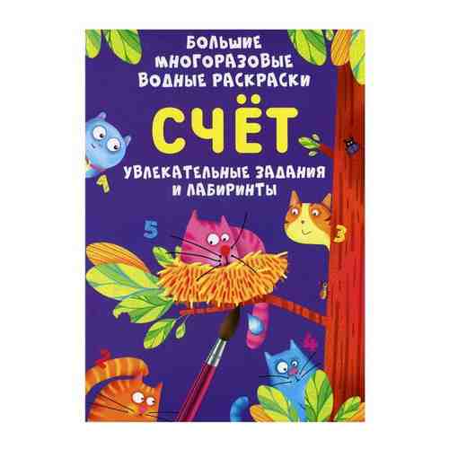 Большие многоразовые водные раскраски Счет, CRYSTAL BOOK 78878 арт. 101474199458