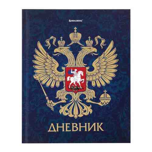 Дневник 5-11 класс, 48 л., твердый, BRAUBERG, фольга, с подсказом, 