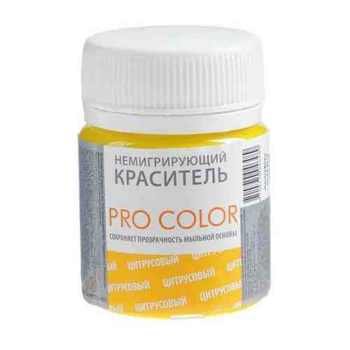 Краситель немигрирующий PRO Color, цитрусовый, 40 г арт. 101410491341