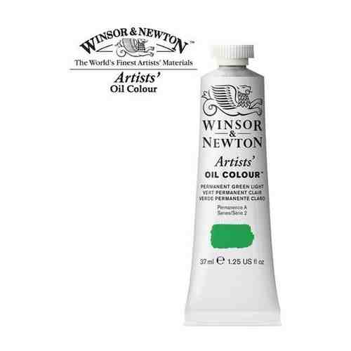 Краска масляная профессиональная Winsor&Newton 