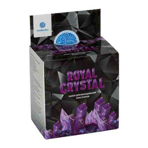 Набор для опытов Intellectico Royal Crystal кристалл оранжевый арт. 101177377177