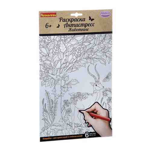Набор раскрасок антистресс BONDIBON, Животные, 6 листов 30х21 см, арт. CPA2313V арт. 322190088