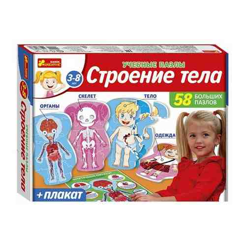 Настольная игра «Строение тела» арт. 101335737247