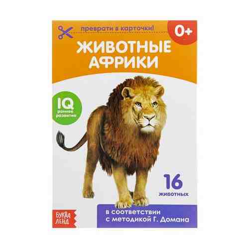 Обучающие карточки на скрепке по методике Г. Домана Буква Ленд Животные Африки 20 стр. арт. 752273045