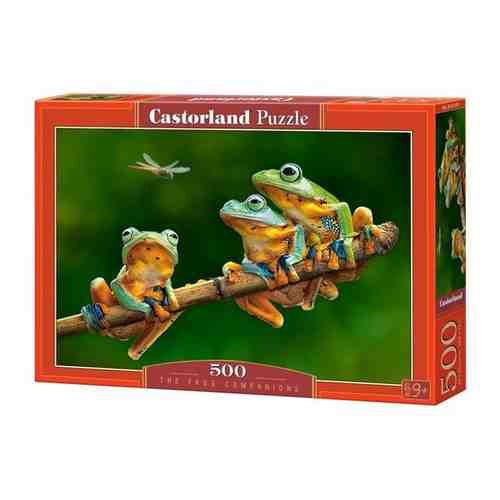 Пазл Castorland The Frog Companions (B-52301), 500 дет. арт. 1968505516