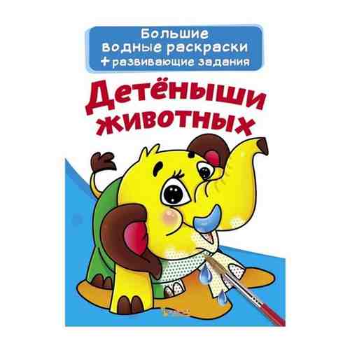 Раскраска водная 240*330 CRYSTAL BOOK 