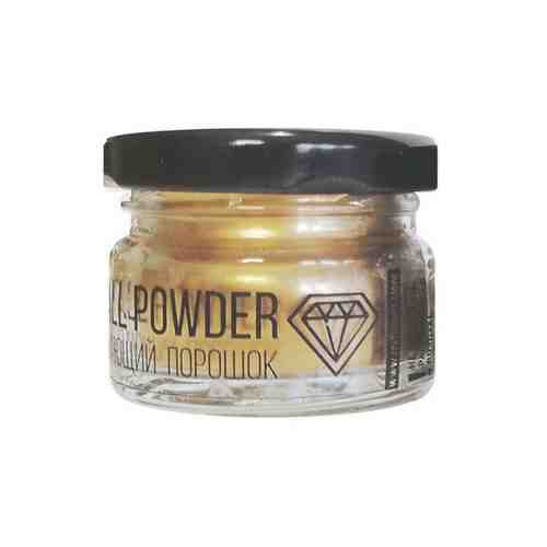 Всплывающий порошок Craftsmen.Store, бледно-золотой (Metallic Powder Pale Gold), 10 г арт. 101227057874